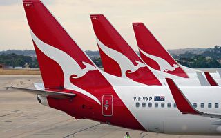 需求激增 澳航兩週獲近50萬張國內機票預訂