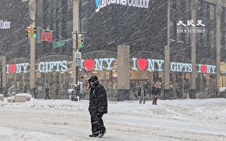 拉尼娜現象 紐約11月可能迎來寒冬