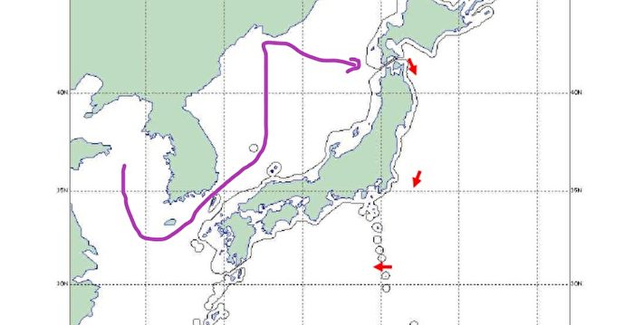 杨威：中共与俄罗斯军演 被利用输个精光