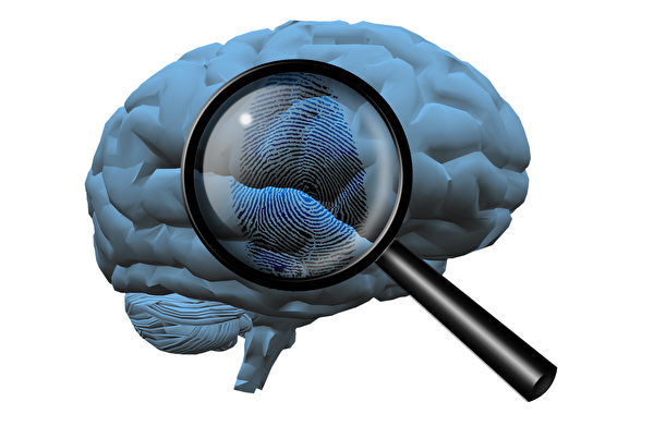 研究发现大脑指纹可及早侦测阿兹海默症