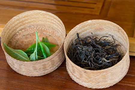 Fresh,Assam,Tea,Leaves,And,Dried,Assam,Tea,Leaves,Are