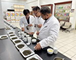 有机茶首次产销履历茶进行分类分级(TAGs)评鉴