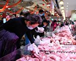 大陆猪价跌至近15年新低 养殖业全面承压