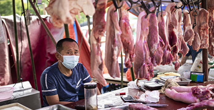 中国菜比肉贵 猪价大跌 养一头猪赔500元