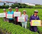 歐日夯羅勒 百萬年薪不是夢 樸作良食成立外銷聯盟