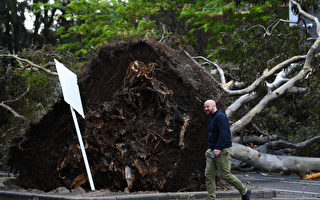 强风致50万维州人家中断电 墨尔本公寓楼顶被掀翻