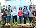 苗栗慢魚海岸嘉年華 竹南龍鳳漁港登場