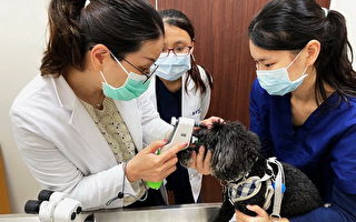嘉大動醫免費為犬貓健檢 狂犬疫苗晶片注射