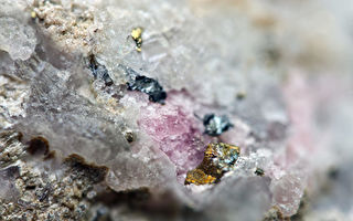 25亿年前红宝石内发现远古时生命踪迹