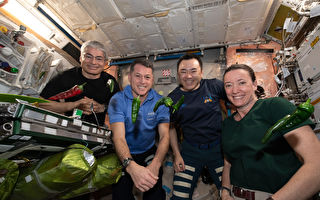 空間站首次種出辣椒 宇航員用它做塔可餅