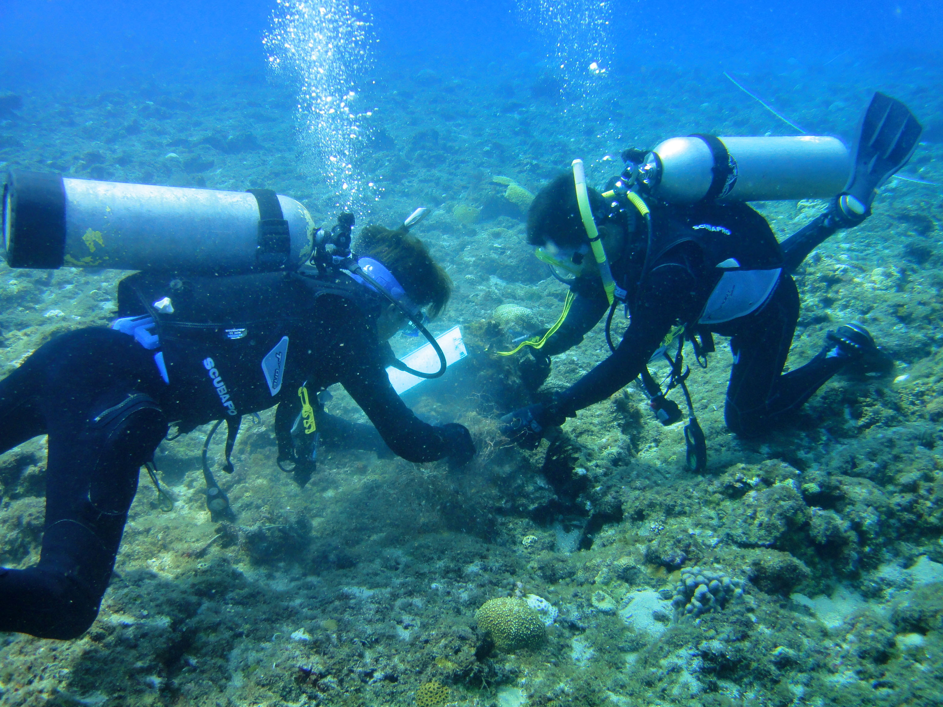小琉球珊瑚礁劣化最严重。