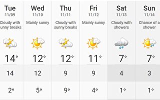 多伦多周末降温 下周或降雪