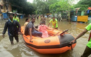 组图：印度遭遇洪灾 钦奈居民撤离