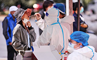 全球首個H3N8病例河南現蹤 台提升疫情警示
