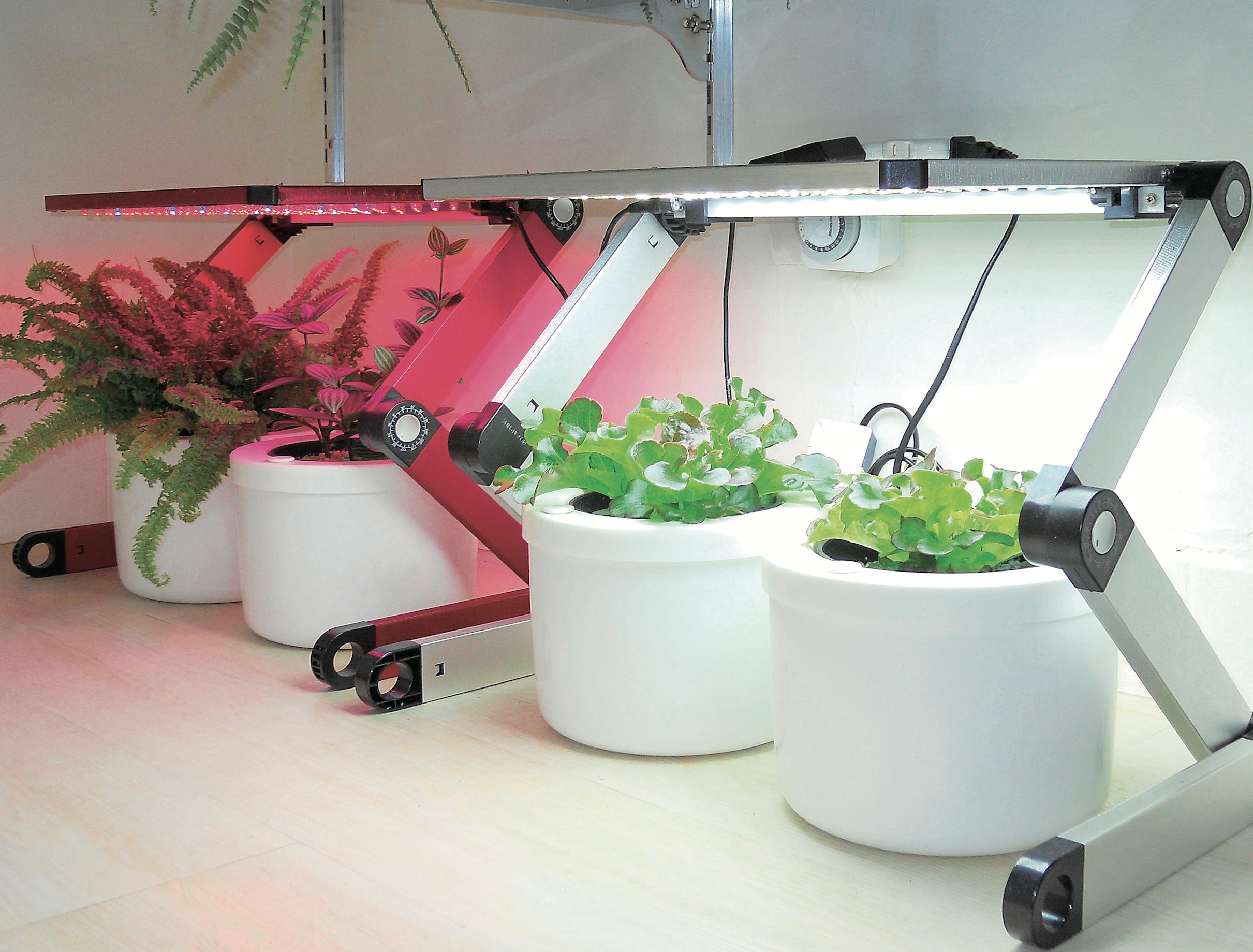 室内栽培水耕植物如何挑选led灯补光 家庭园艺 家庭菜园 植物补光 大纪元