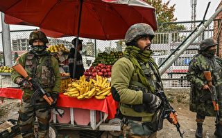 印度陸軍上校等7人遭伏擊身亡