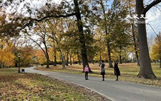 纽约凯辛娜公园秋色烂漫  游人争相拍照
