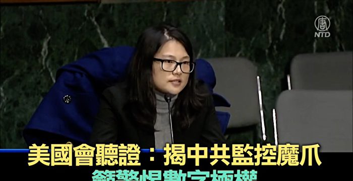 【重播】美国会听证：揭中共监控魔爪输出海外