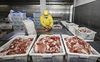 豬價拉低中國CPI 「豬油共振」一觸即發