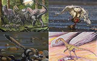 巴西發現新恐龍物種：無齒 靠兩腿行走