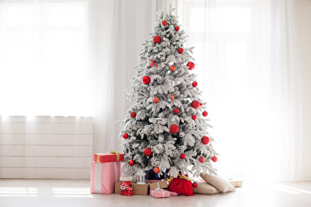 Christmas,Home,Interior,With,White,Christmas,Tree