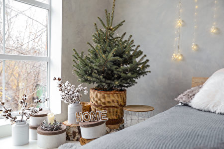 Little,Christmas,Tree,With,Fairy,Lights,In,Bedroom,Interior