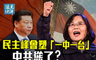 【远见快评】台湾出席民主峰会 中共抗议降温