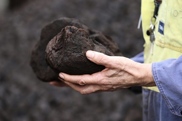 澳煤炭巨头第三季出口同比增长 中共禁令失效