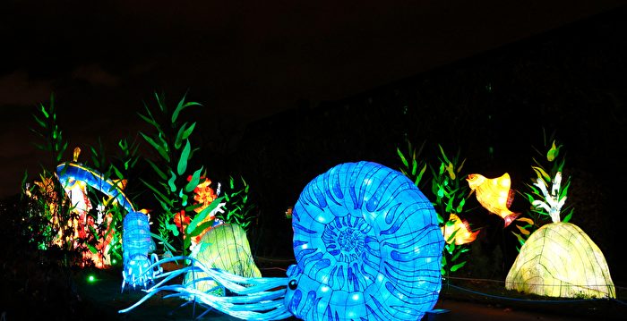 组图:巴黎灯饰展 展示古生物多样性