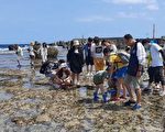 潮间带生物大量死亡 屏府：积极加强保育