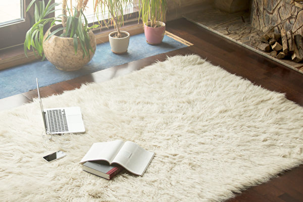 讓地毯重新變乾淨蓬鬆的簡單方法
