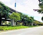 台74桥下绿廊道 台积电投千万植栽30万株