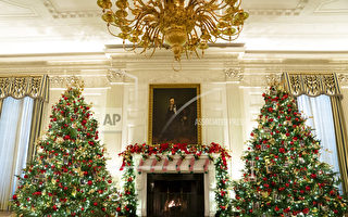 白宮公布聖誕裝飾 向抗疫一線人員致敬