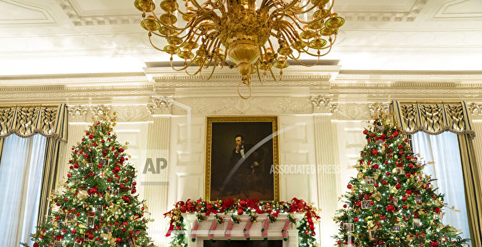 白宫公布圣诞装饰 向抗疫一线人员致敬