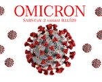 世界首例 澳洲发现Omicron新版变种毒株