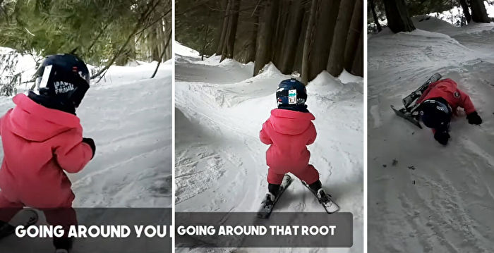 加国父亲反对溺爱 3岁女儿学会高山自由滑雪