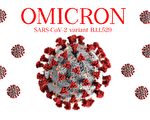 【疫情12.14】美32州确认Omicron变种病例