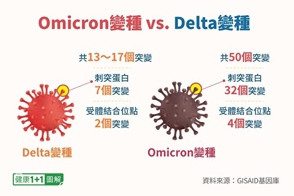 与Delta变种相比，Omicron变种的突变数明显增多。（健康1+1／大纪元）