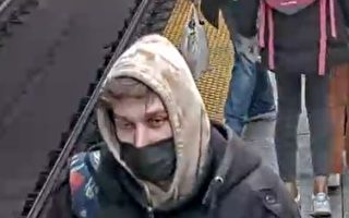 推人落TTC地鐵軌道  警公布肇事者照片