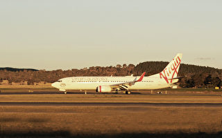 維珍澳洲宣布將恢復堪培拉-悉尼航班