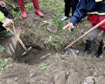 工厂暗管排废水污染灌溉渠道 遭重罚159万废照