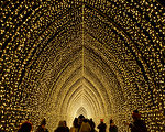 布碌崙植物园“光之景”灯展 带动节日气氛