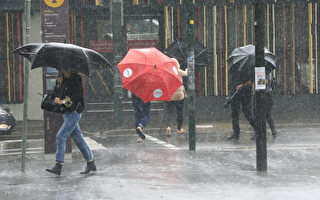 多伦多及周边地区 周末将经历大雨强风天气