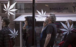 加州反毒組織警告：大麻店將入海濱城市