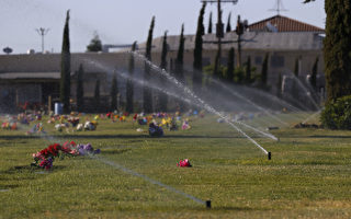 马林县水务局为省水 部分装饰草坪禁止浇水