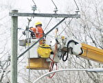强风导致安省南部21万用户停电