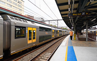 悉尼火車週二恢復有限服務 半小時一班