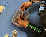 桃园警网四面埋伏  查获毒品及11名失联移工
