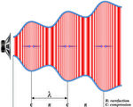 物理學家發現一種新型橫向聲波
