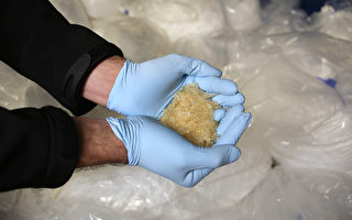 新州警方在悉尼西南区查获价值25万元毒品